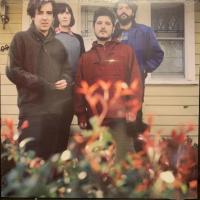 Виниловая пластинка TWERPS / TWERPS - WHITE VINYL (1LP)